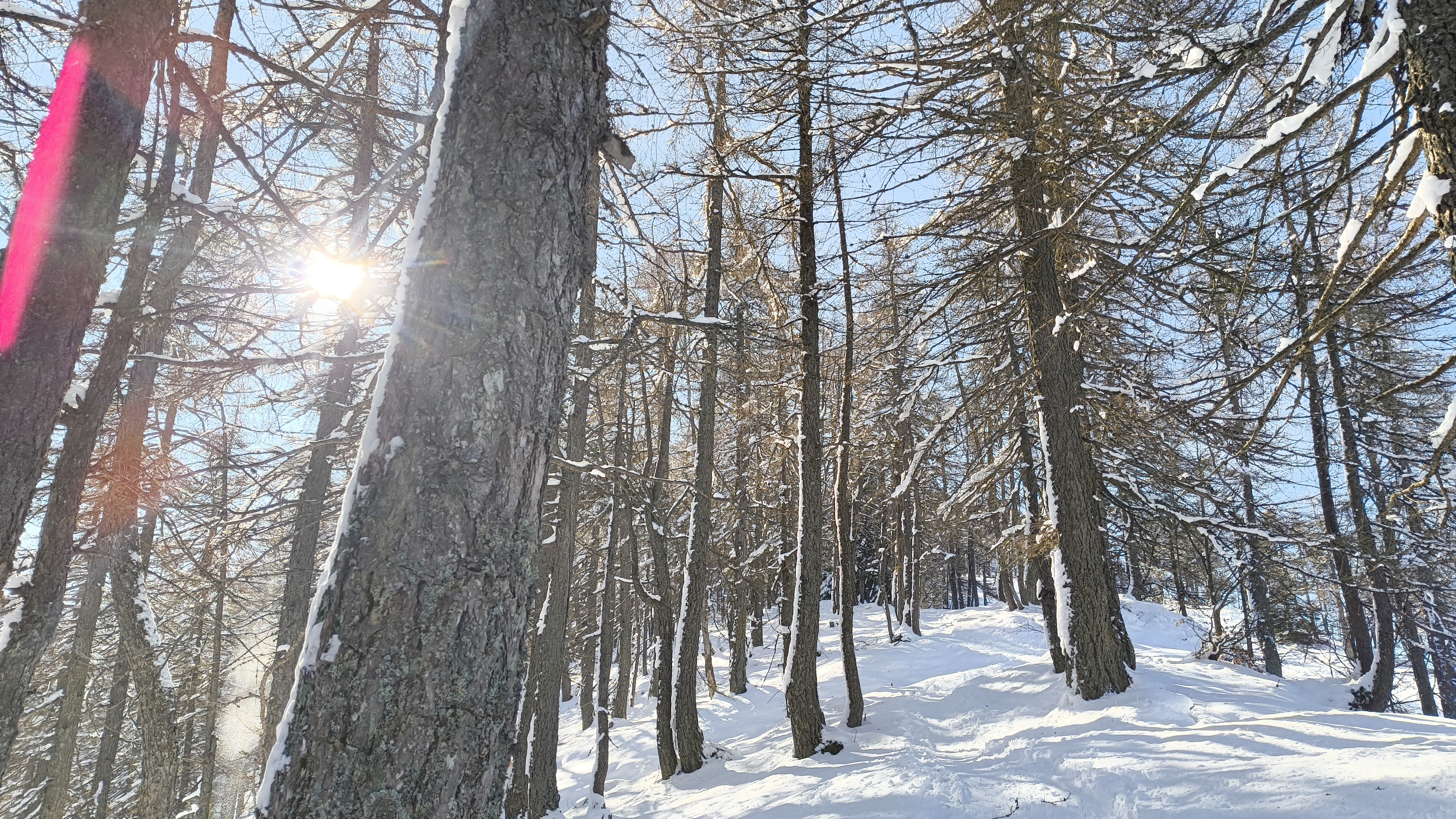 Foto n° 15 del trekking Cimone di Margno